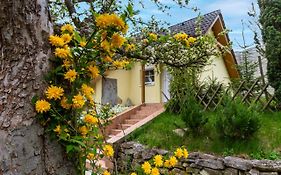 Apartmanovy Dum Vilemovice