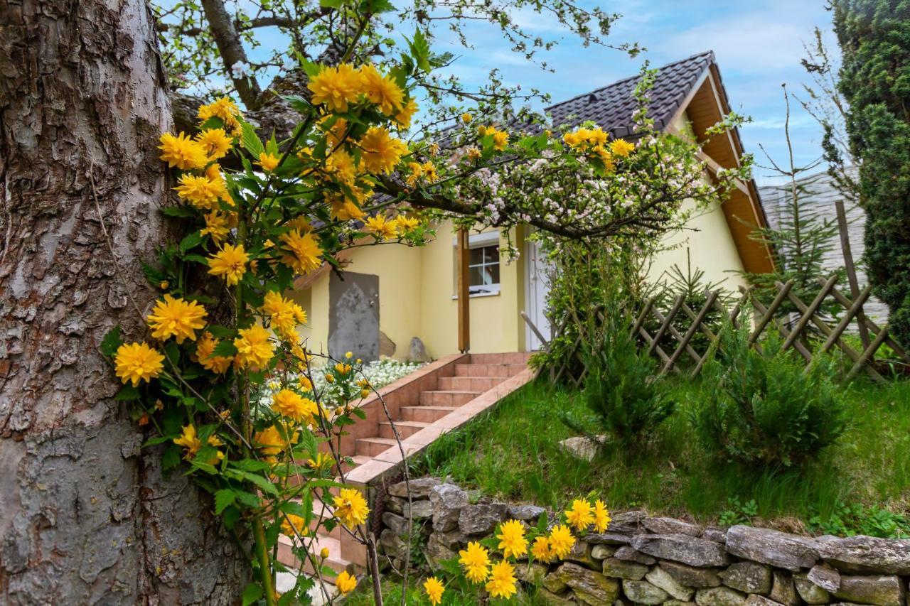 Apartmanovy Dum Vilémovice Exteriér fotografie
